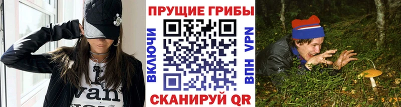 Галлюциногенные грибы мицелий Костомукша
