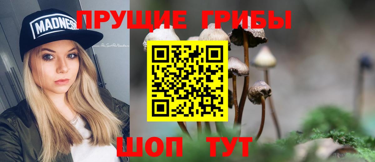 Костомукша  Псилоцибиновые грибы мухоморы  Псилоцибиновые грибы Psilocybe  Вход с VPN 